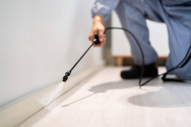 Licensed Mosquito Control service in West Covina, CA - Show Me Pest Control