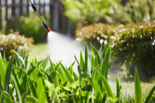 24/7 Emergency Mosquito Control experts in West Covina, CA