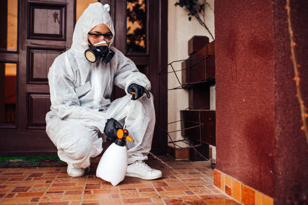 Reliable Mosquito Control contractor in West Covina, CA by Show Me Pest Control
