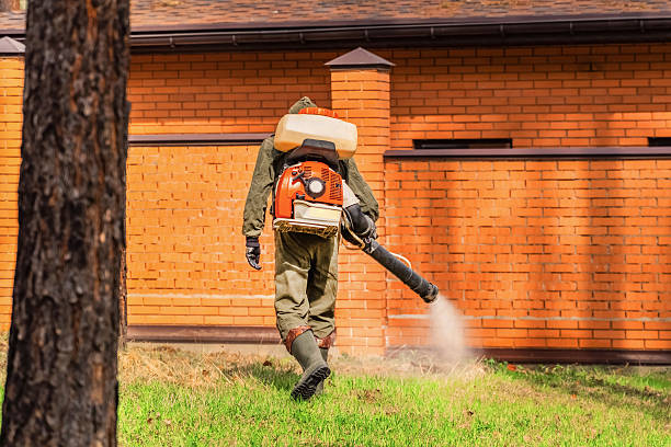 Top rated local Mosquito Control specialists in West Covina, CA